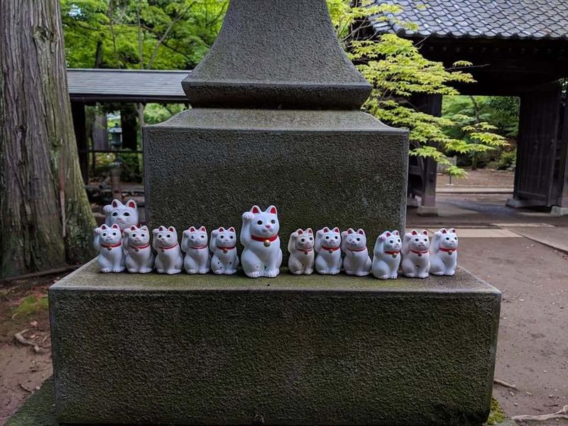 Three Japan cities make global top 10 for digital nomads photo