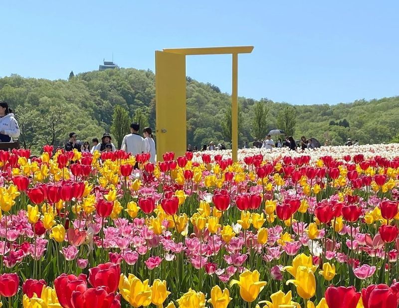 Golden Week at Echigo Hillside Park photo