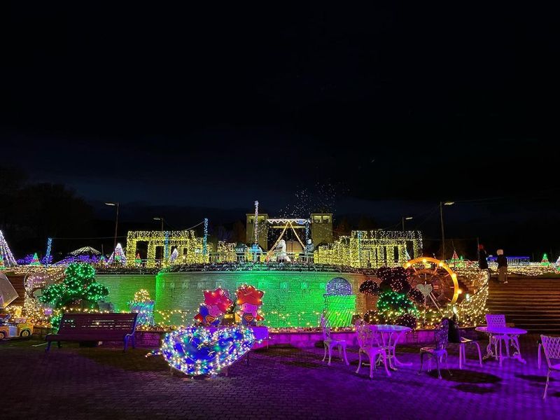 A whimsical illumination at the Gunma Flower Park photo