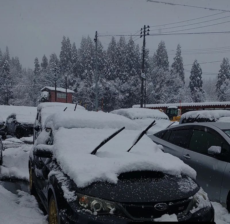 Snow or ice coming? Wipers up! photo