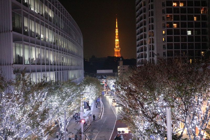 Winter illuminations in Japan 2017 - 2018: The classy ones! photo