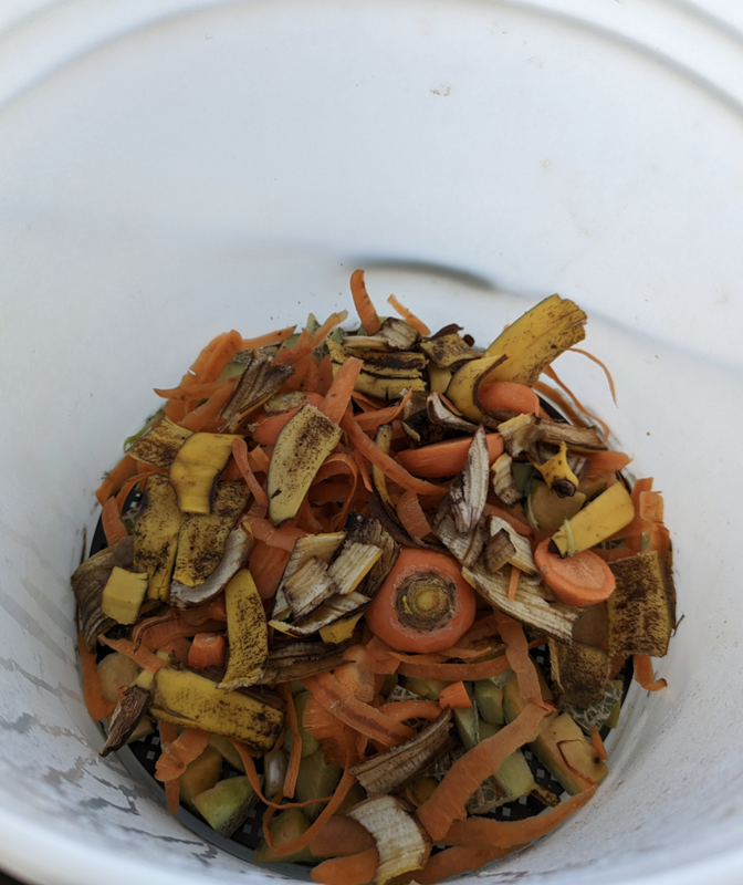 How to do basic Bokashi Composting in Japan photo