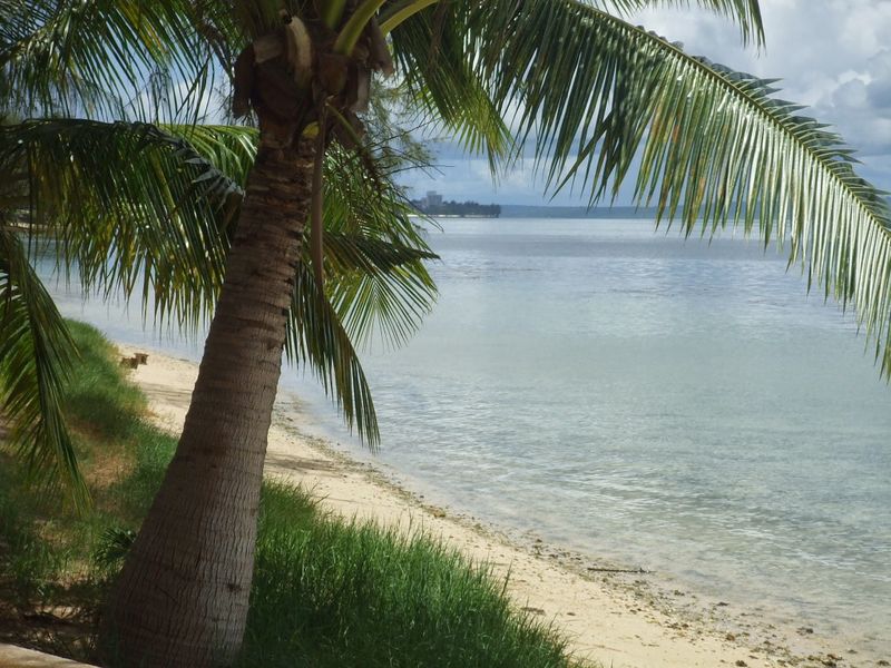 Senkaku Islands Development Day photo