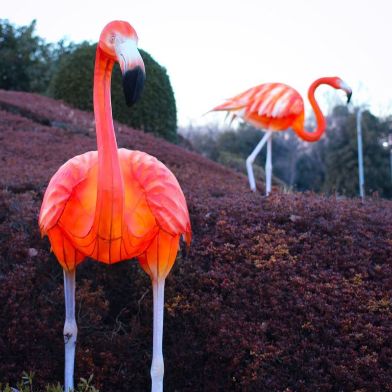 Night Zoo in Saitama from this Friday photo