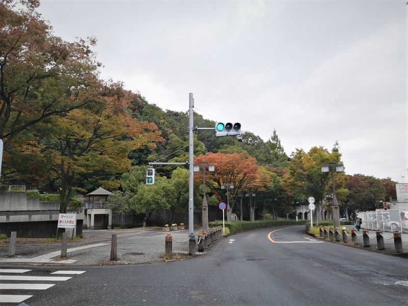 Explore Inagi City in Autumn! [SPOT REPORT] photo