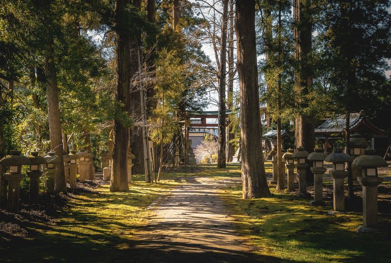 Images of Japan: March 2023 photo