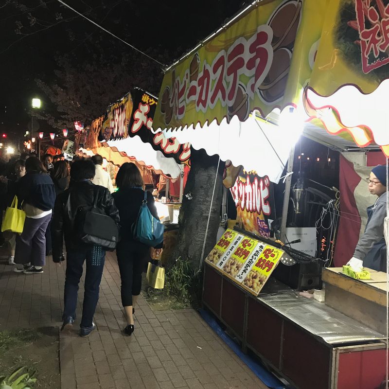 Ookagawa Sakura Festival photo