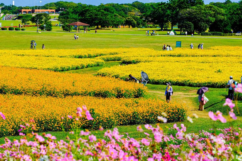 日本は花の楽園です！ photo