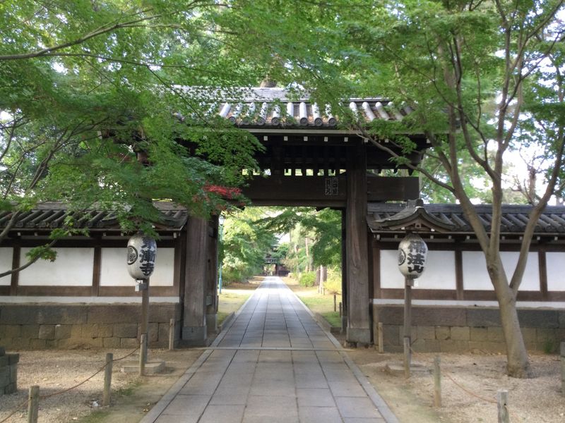 Tozenji in Matsudo City with a hint of autumn colour [SPOT REPORT] photo