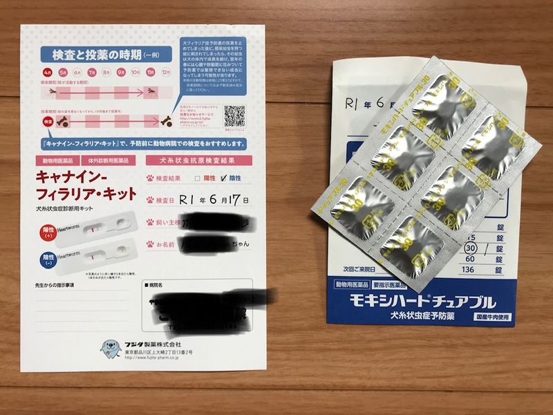 狂犬病疫苗和心丝虫药物：在日本为您的狗提供一些常规医疗技巧 photo
