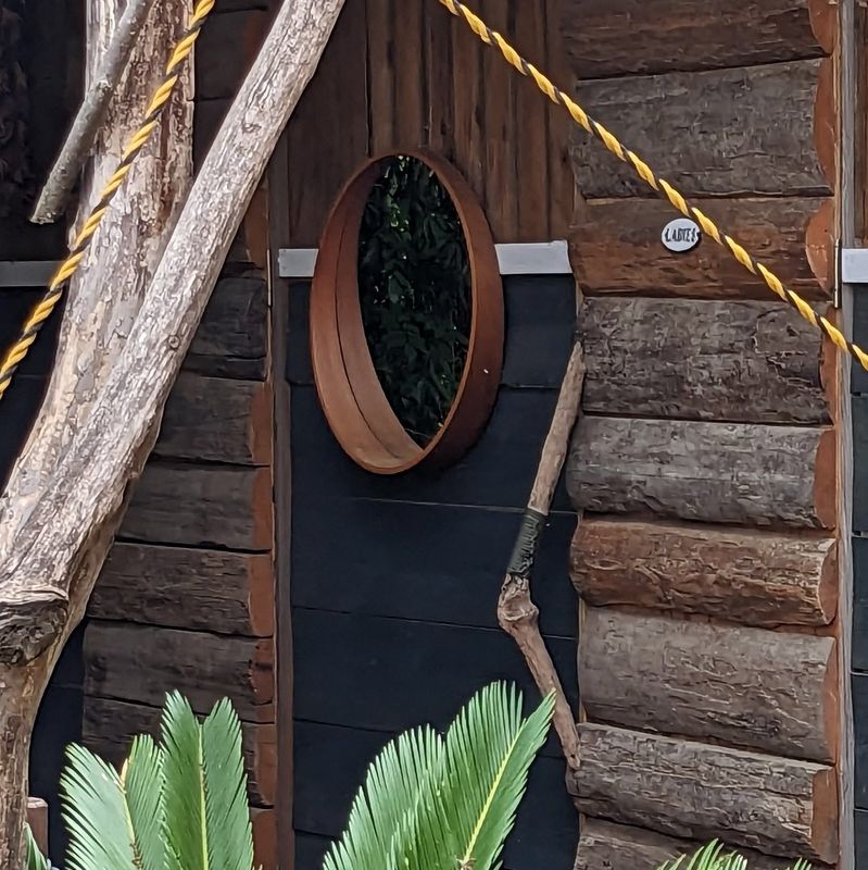 Death trap sauna photo