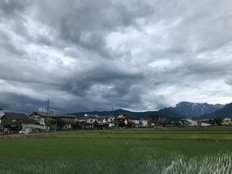 A mom’s reason why rainy season rules  photo