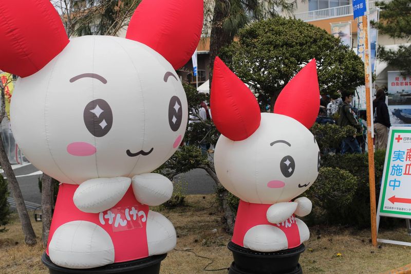 Barriers to blood donation in Japan photo