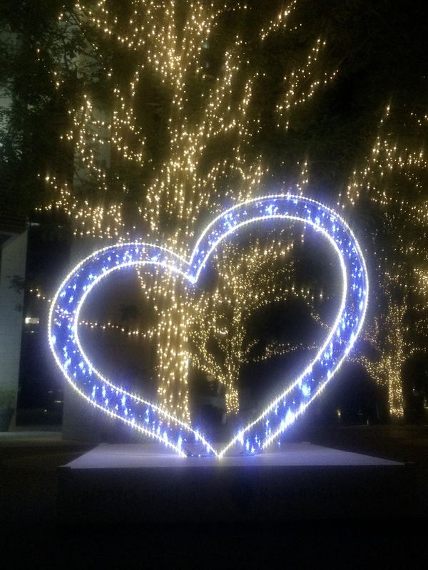 Winter Illuminations at Kashiwanoha Campus photo