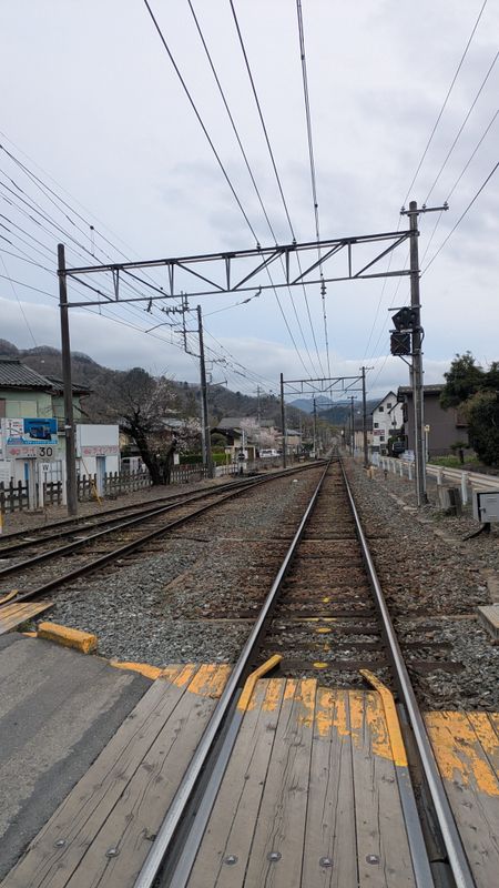 Only 25 yen a train ride photo