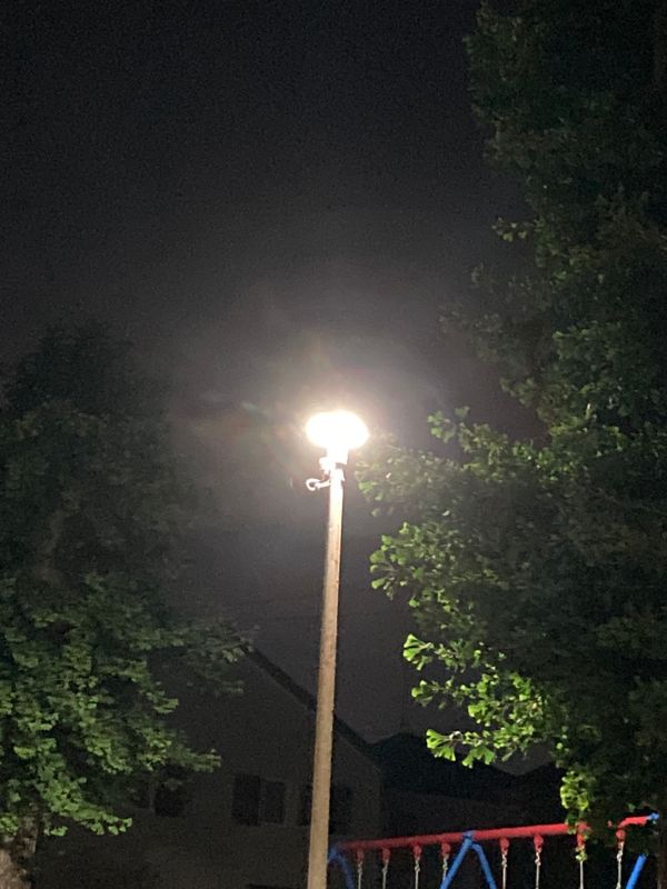 Night Walks photo