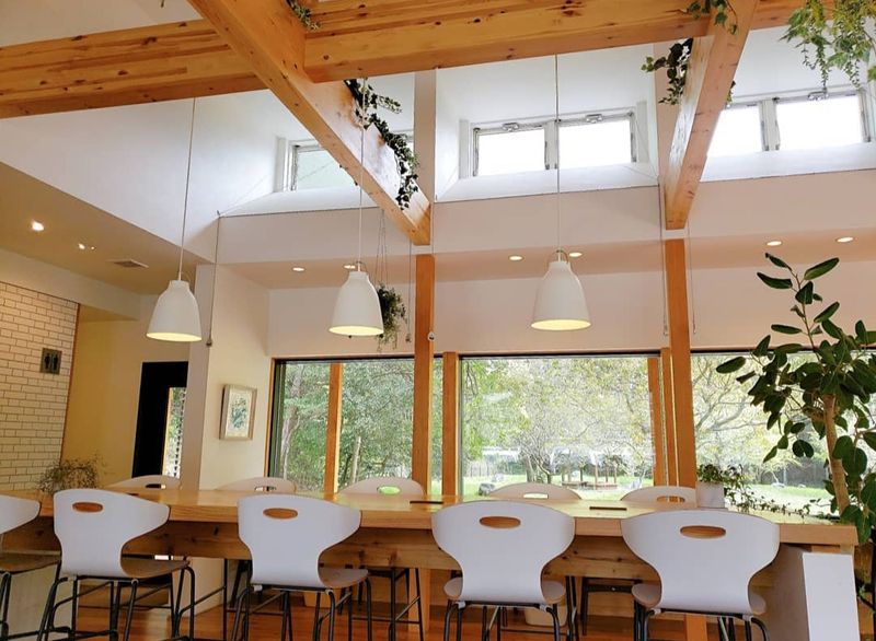 Matcha mania at Kakegawa's Kimikura Cafe photo