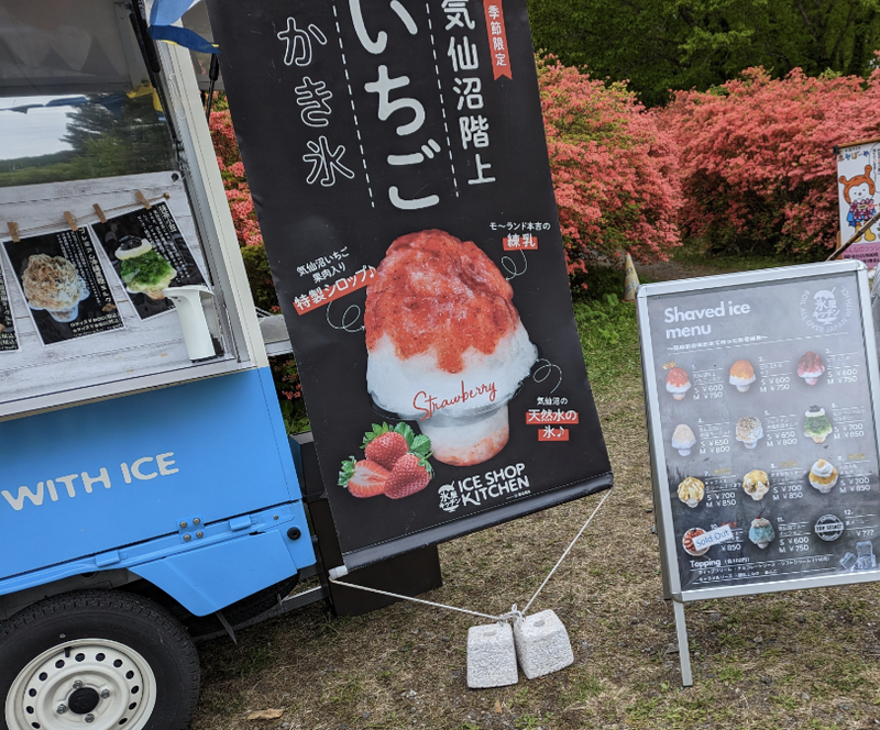 Food Truck Shaved Ice: Too Much Ice, Not Enough Flavors photo