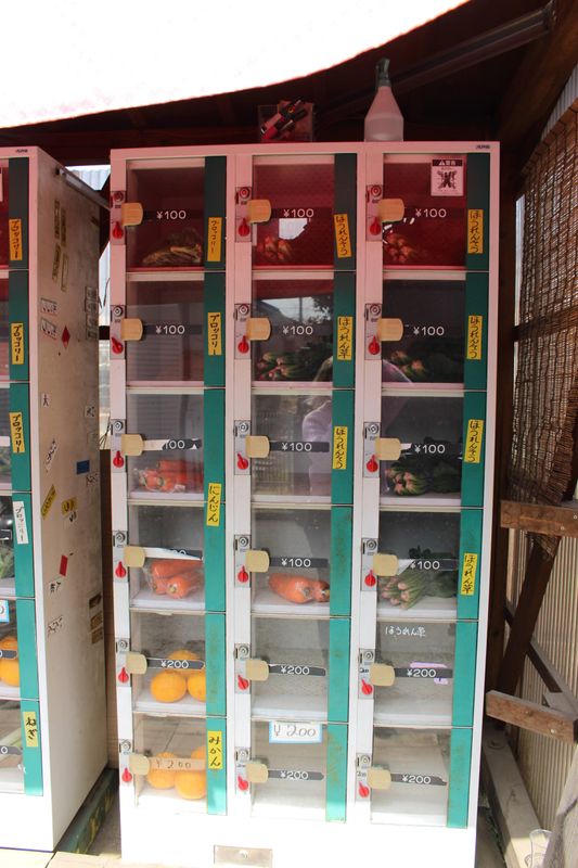 A coin locker vegetable vending machine photo