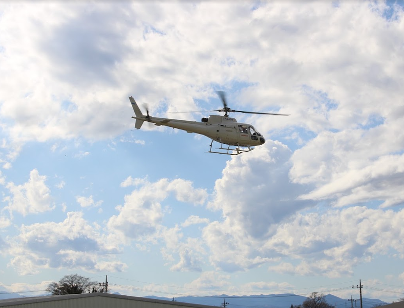 The Day I Almost Rode a Helicopter photo