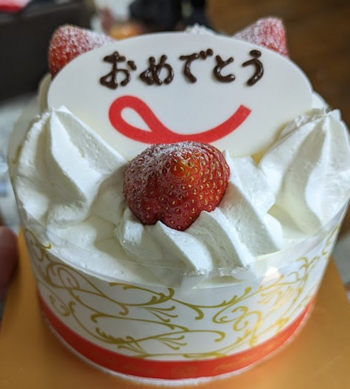 Learning how to navigate public high school in Japan photo