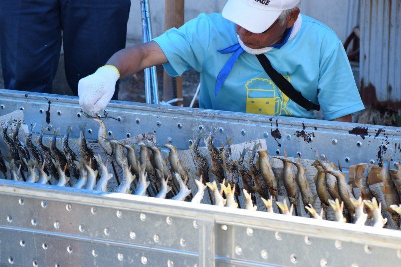 Things I didn't try early on (and probably won't again): Ayu photo