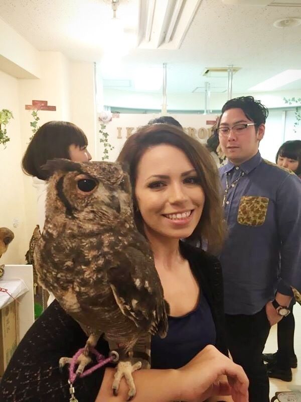 Owl Cafe! photo
