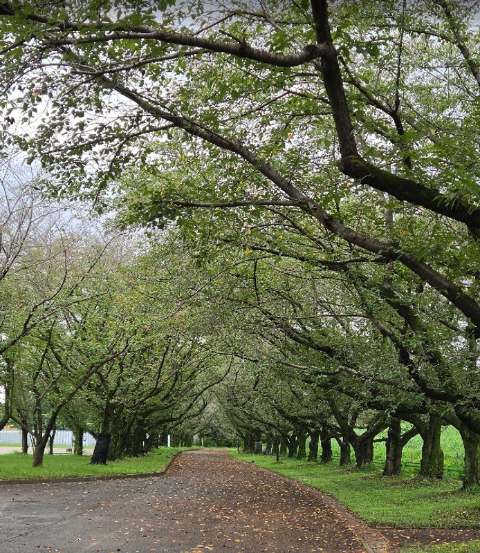 Walking weather is back photo