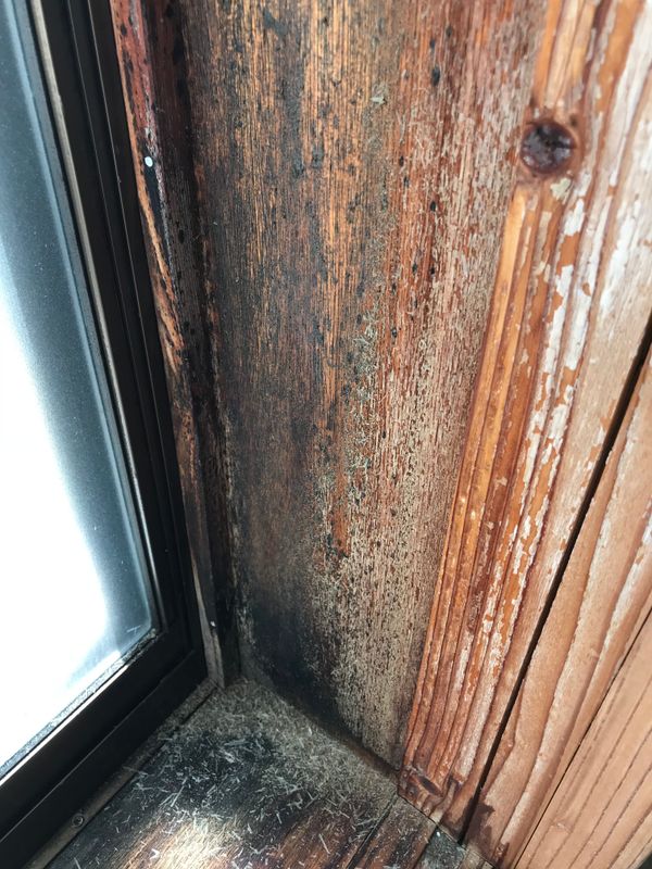 How to remove mold from your windowsills photo