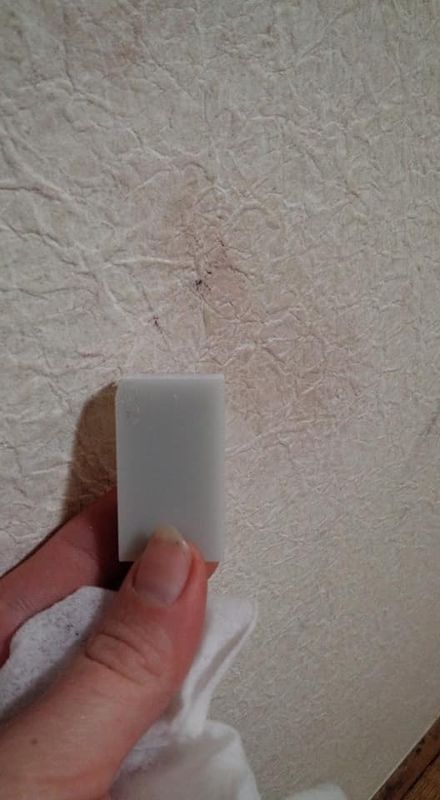 The magical little eraser for wall marks photo