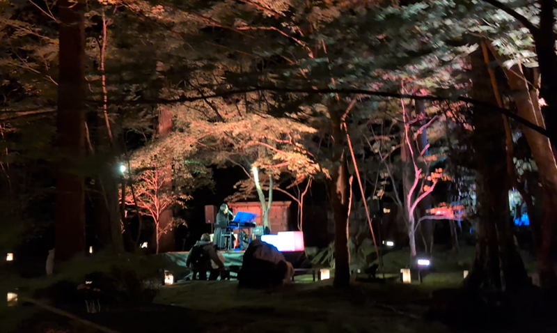 Matsushima's Fall Light Up 2025 photo