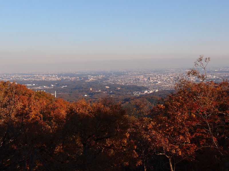 Les meilleurs endroits pour voir les feuilles d&#39;automne autour de Tokyo, combien ça coût... photo