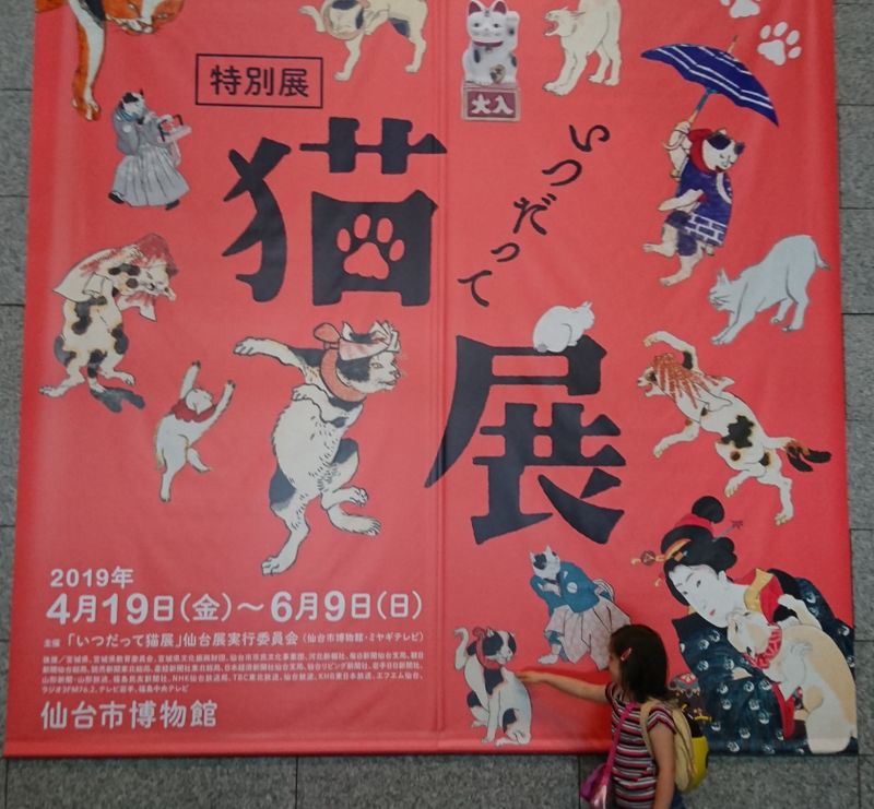 Historical Cats and Hedgehogs: A Day in Sendai photo