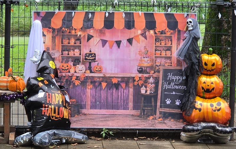What a Halloween Photo Spot Reveals About Modern Japan photo