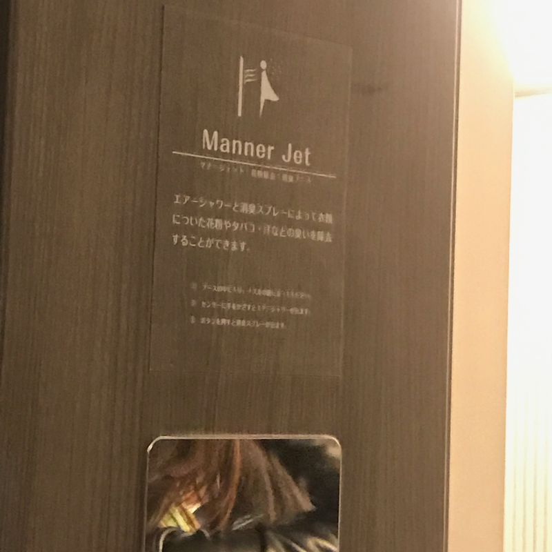 "Manner jet" shower in the women's restroom photo