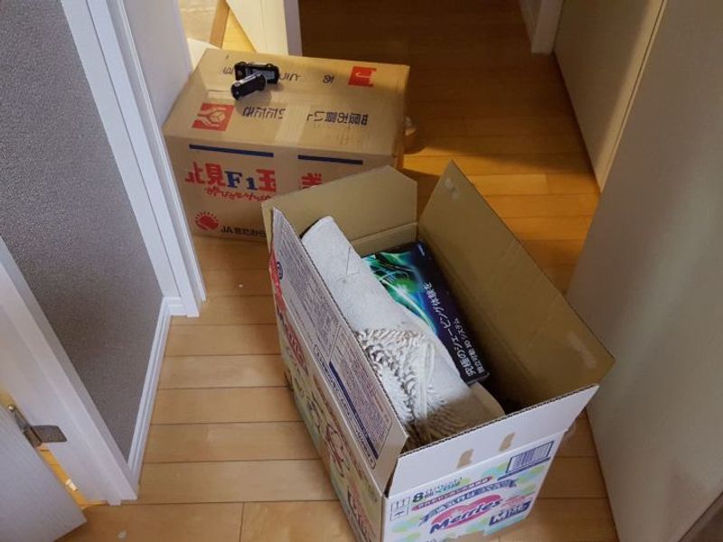 Moving to a New Apartment - Part One photo