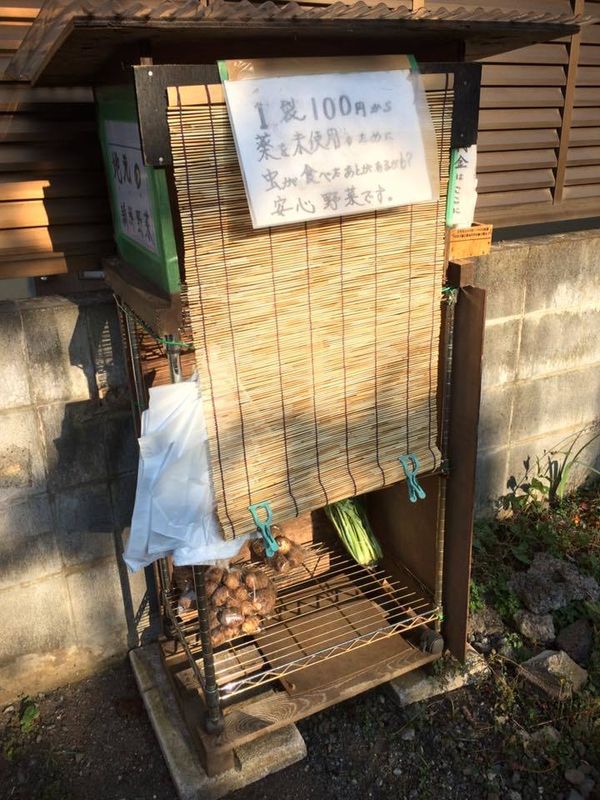 Trust in Japan: A Vegetable Stand photo