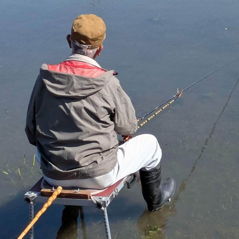 Why recreational fishing is so common in Japan  photo