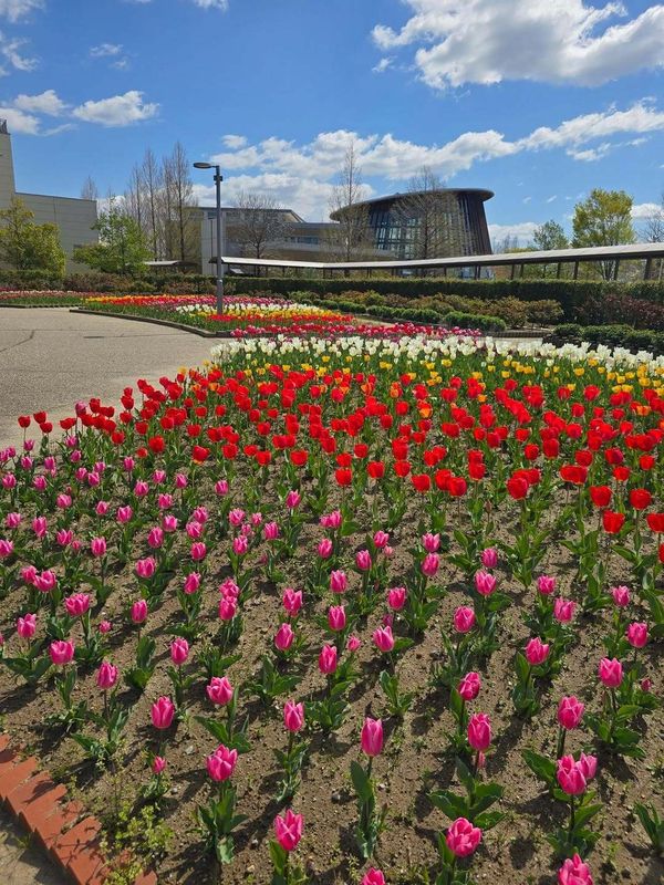 Agoda's Golden Week travel trends photo