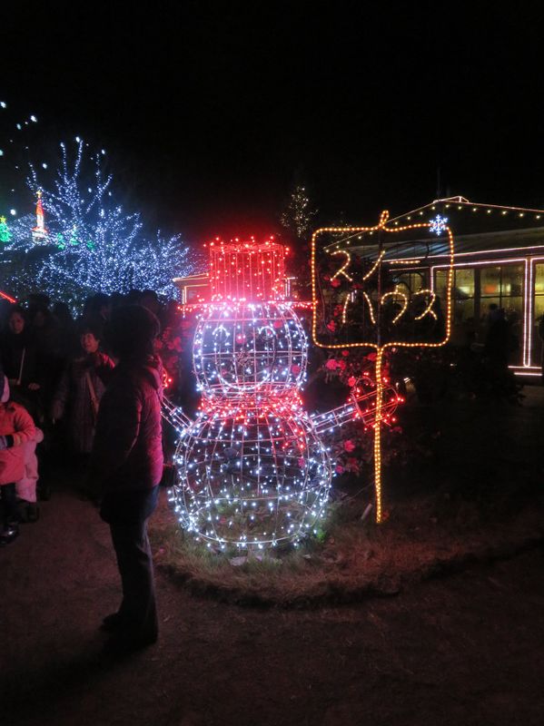 Ashikaga Flower Park Illuminations photo