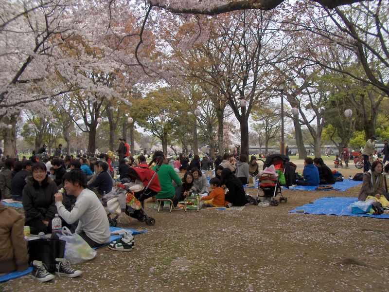 Pandemic preparedness from an expat’s perspective: how’s Japan doing? photo