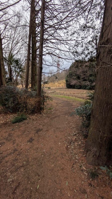 Rain moistens the soil photo