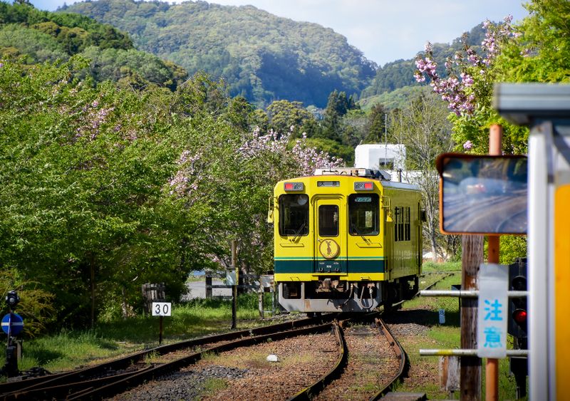 Reconnect with Chiba's beautiful Boso Peninsula on Isumi, Kominato trains  photo