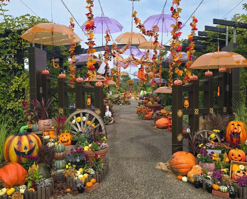 Echigo Hillside Park leaning into Halloween more and more each year photo