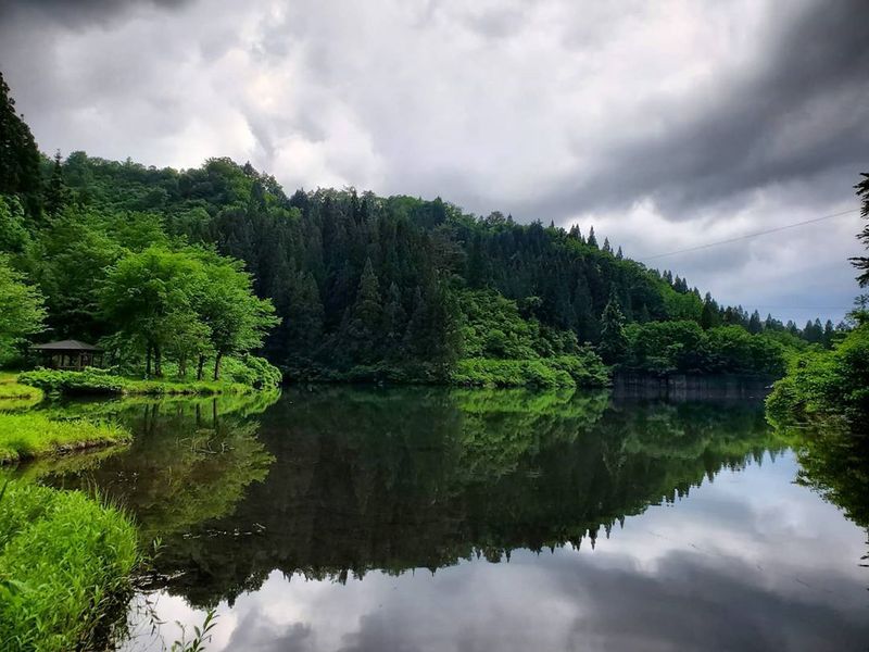 50种绿色阴影：新泻的夏日乐趣 photo