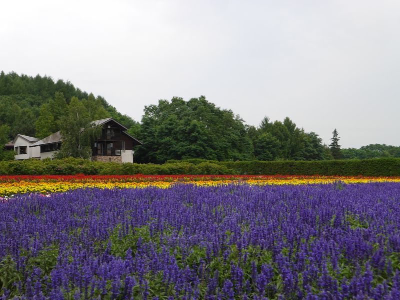 The Most Liberating Road Trip in Hokkaido photo