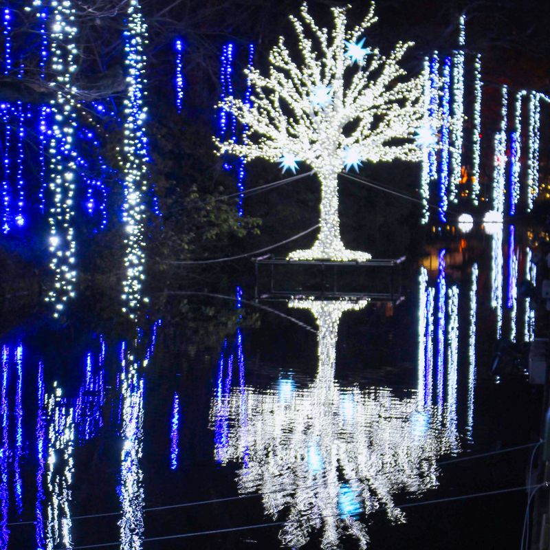 Takasaki Pageant of Starlight in 2025 photo