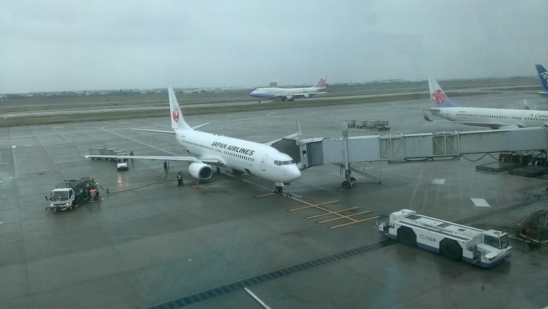 My Long-term Long-distance Relationship with JAL photo