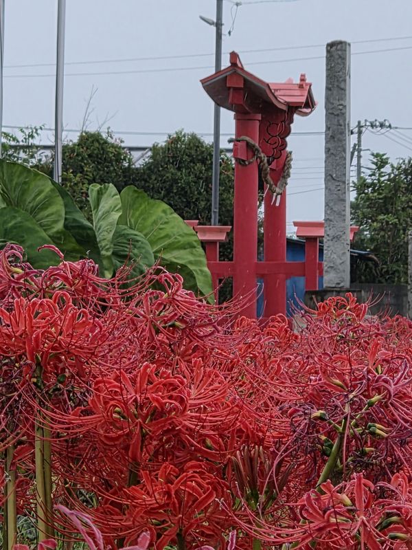 "Shūbun", Autumn Equinox Solar Term photo