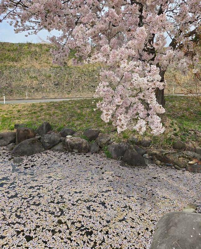 Japan's work culture versus global productivity rankings photo